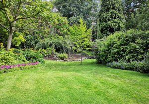 Optimiser l'expérience du jardin à Solignac